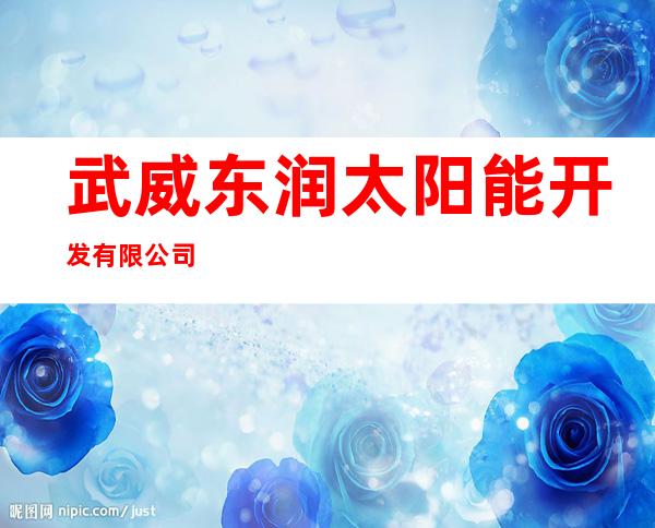 武威东润太阳能开发有限公司