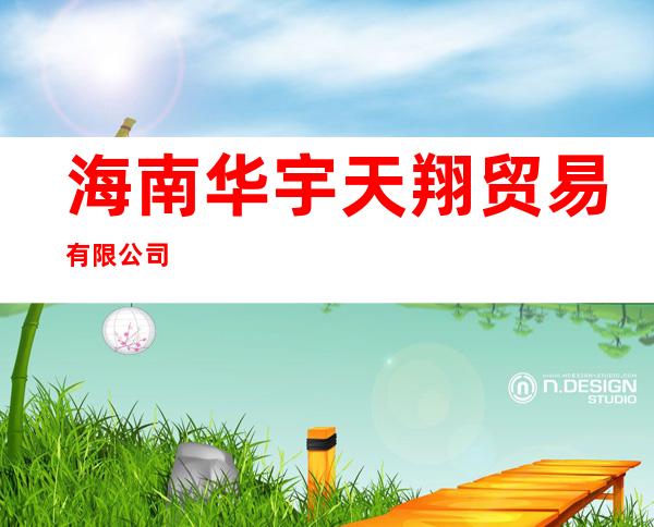 海南华宇天翔贸易有限公司
